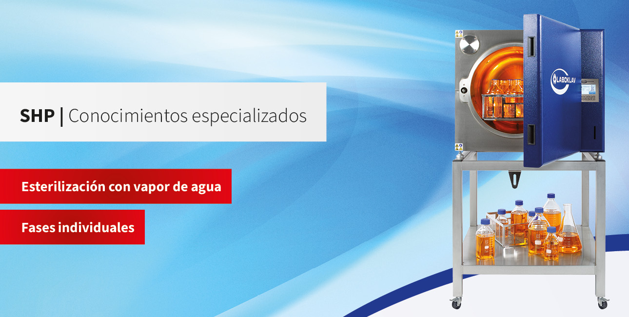 Fases individuales de la esterilización al vapor